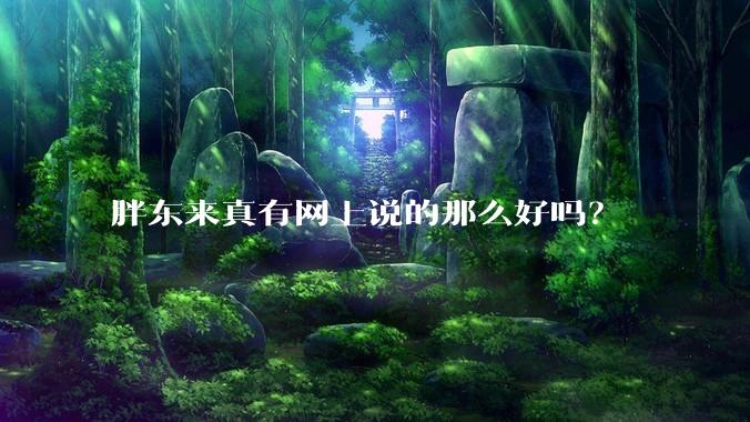 胖东来真有网上说的那么好吗？