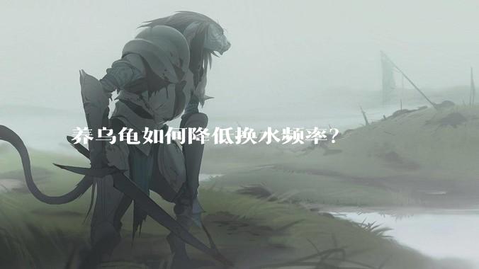 养乌龟如何降低换水频率？